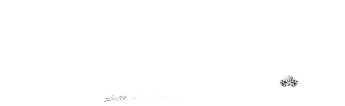 Partner Icons